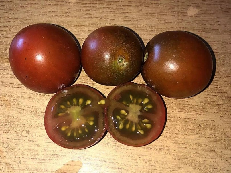 Cappuccino paradicsom, Lycopersicum esculentum, paradicsom